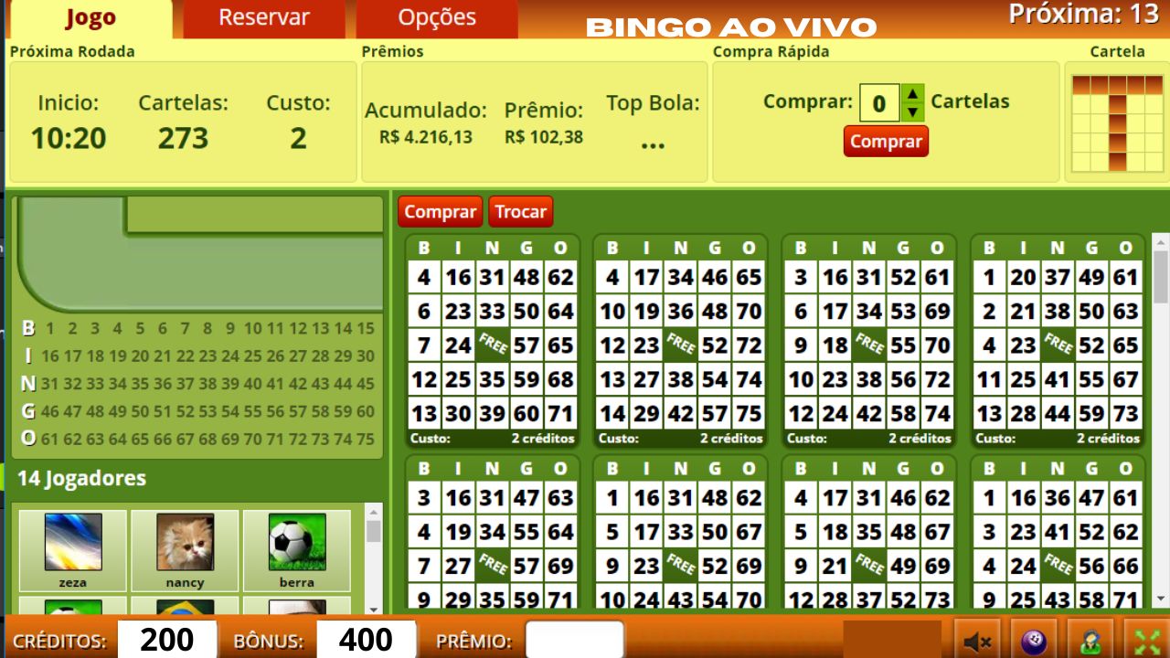 Bingo ao Vivo